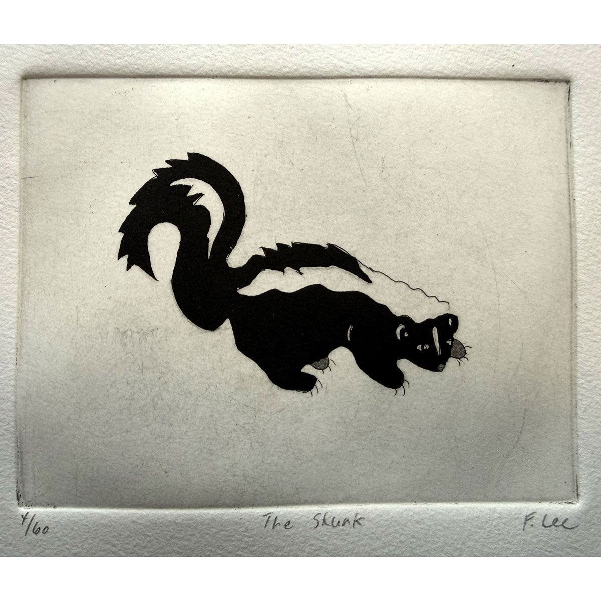 25. The Skunk