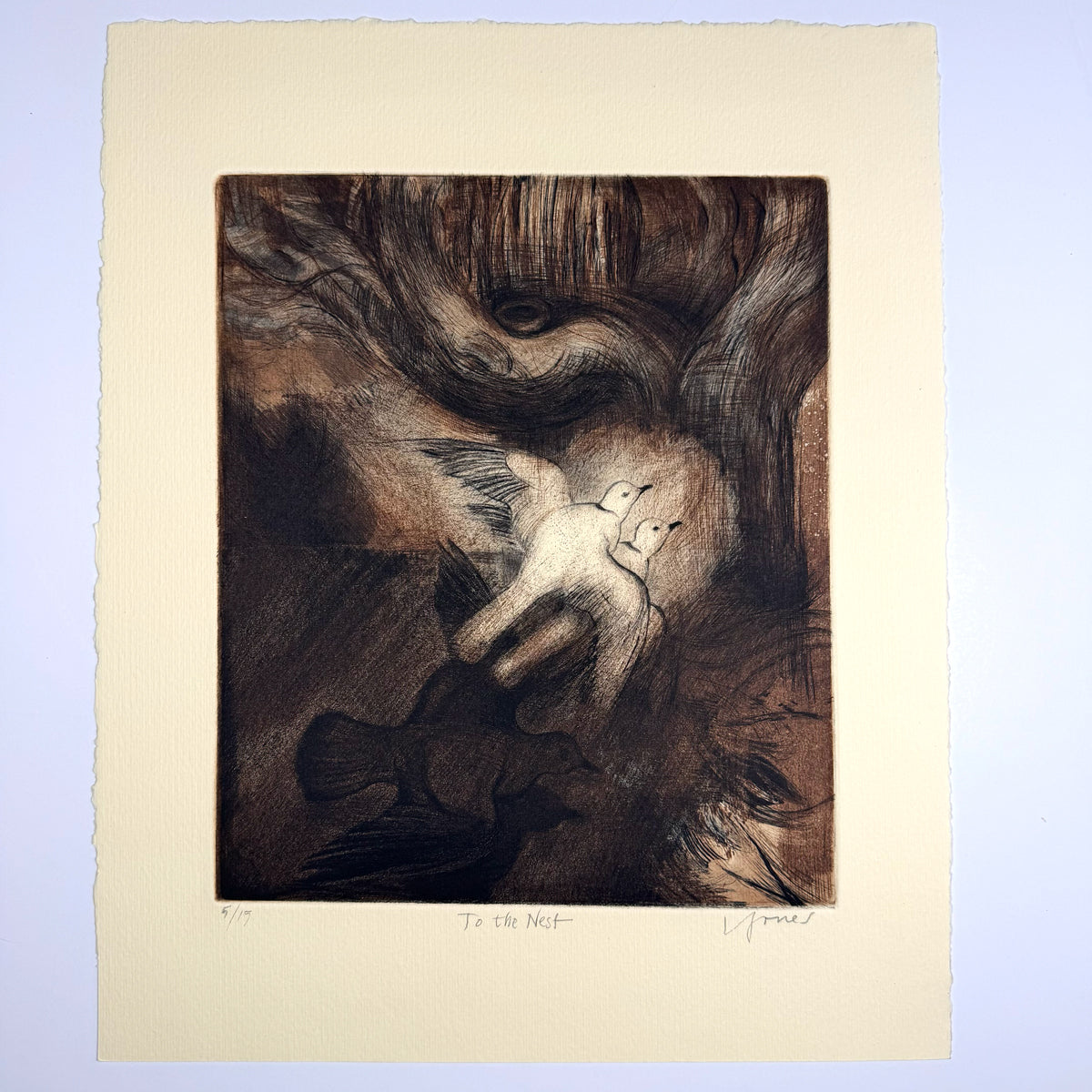 25. To the Nest