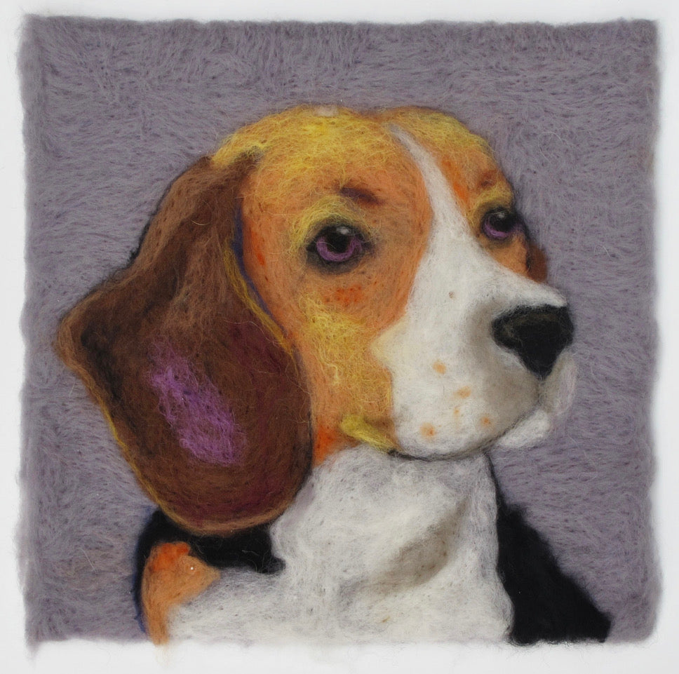 266. Beagle