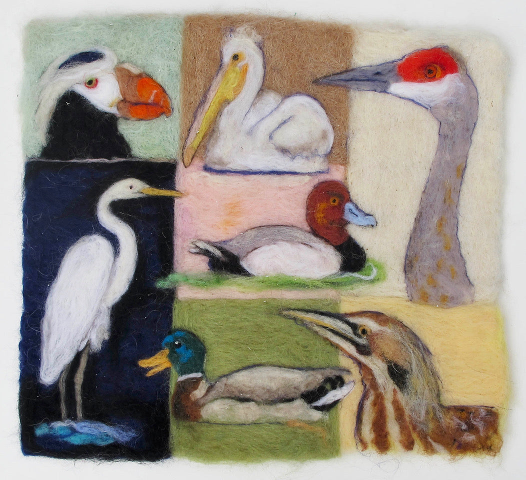 269. Waterbirds of Oregon