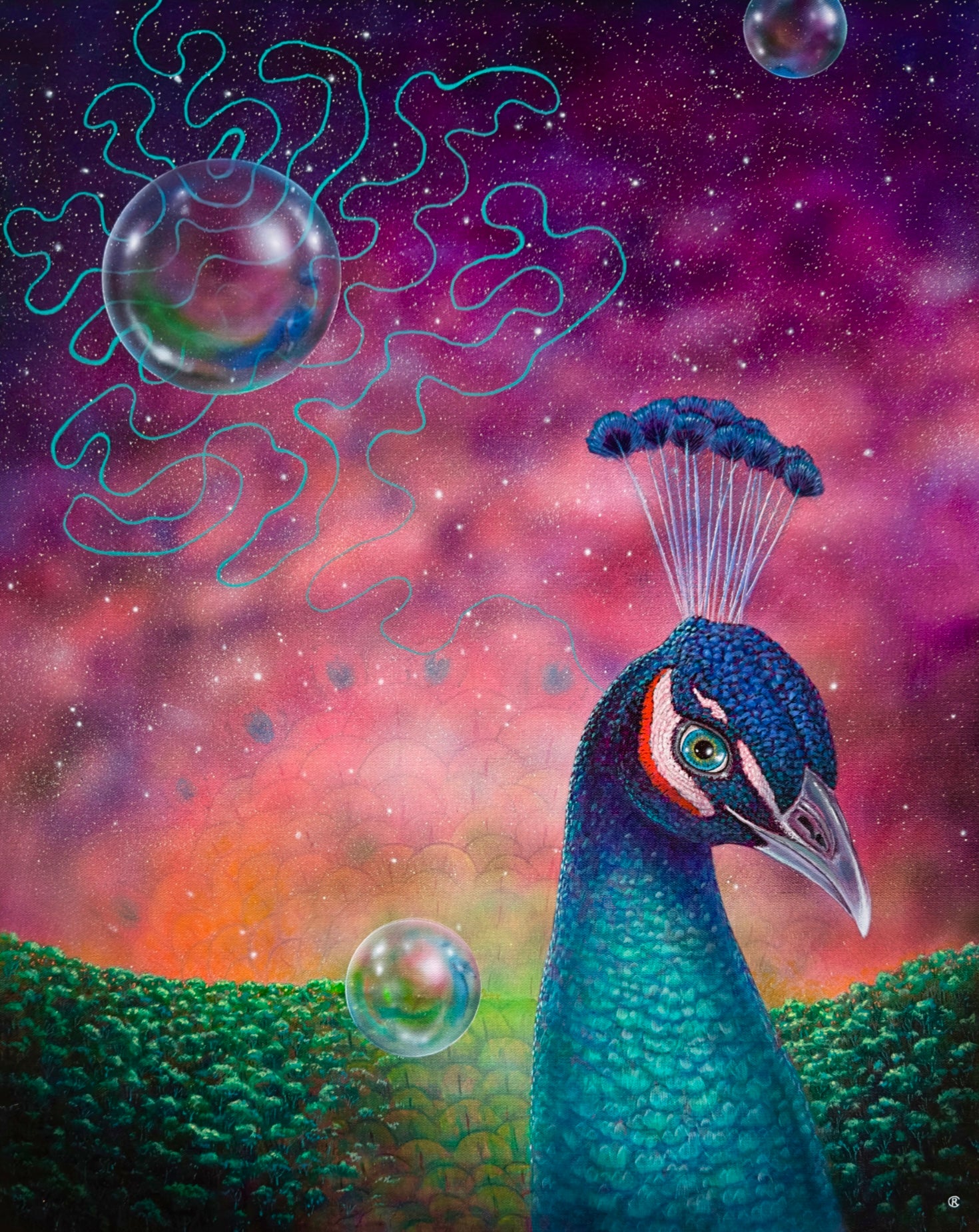 24. Peacock Dream
