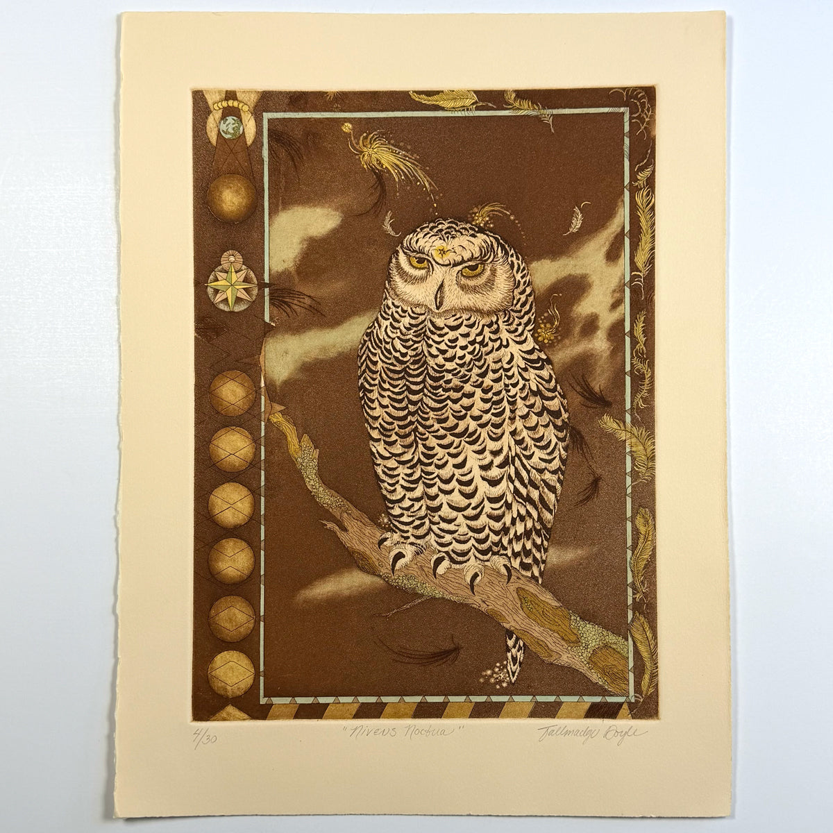 2. Nivens Noctua