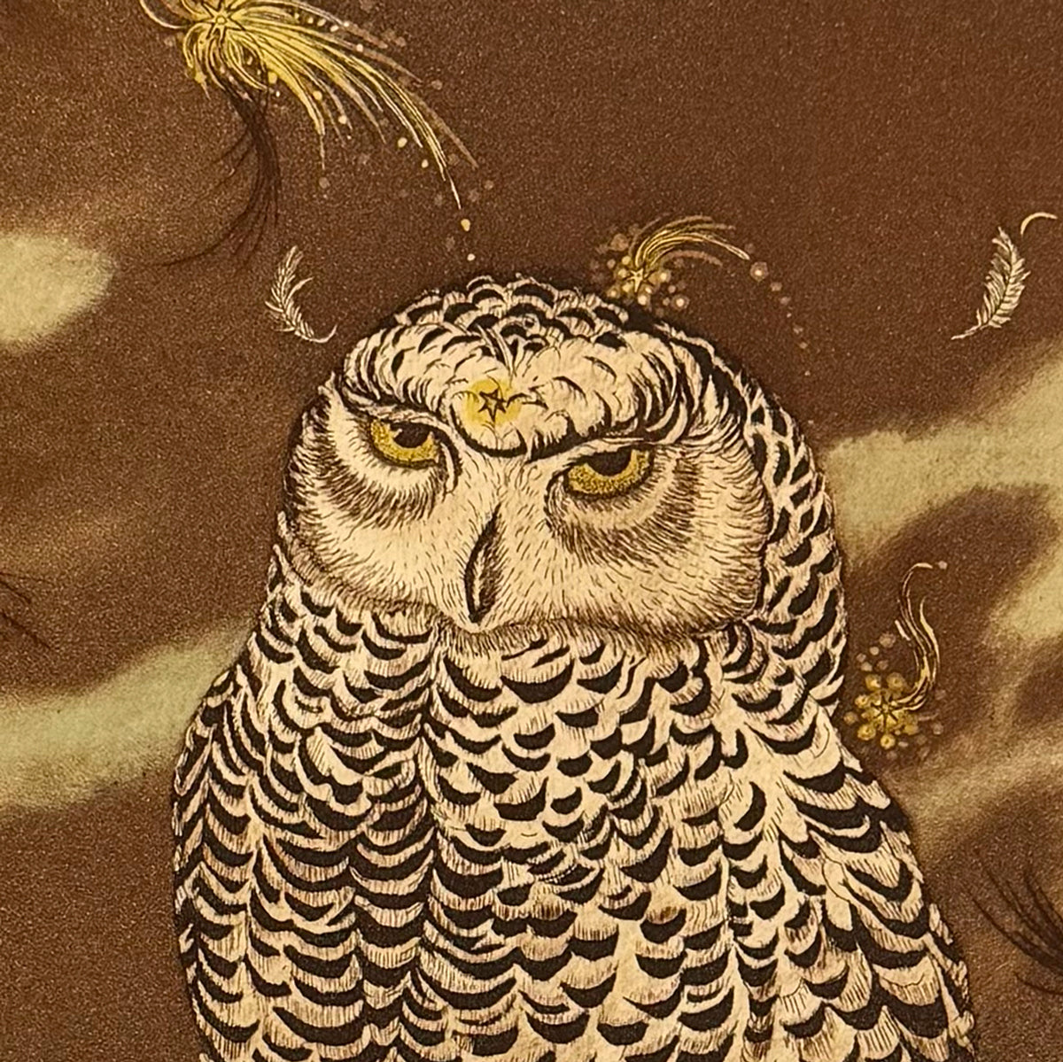 2. Nivens Noctua