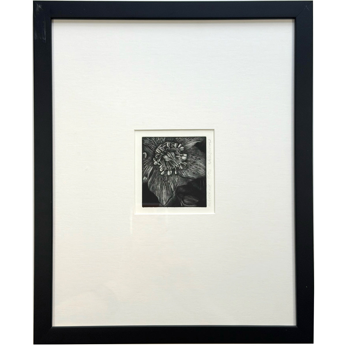 2. Shocked (Framed)