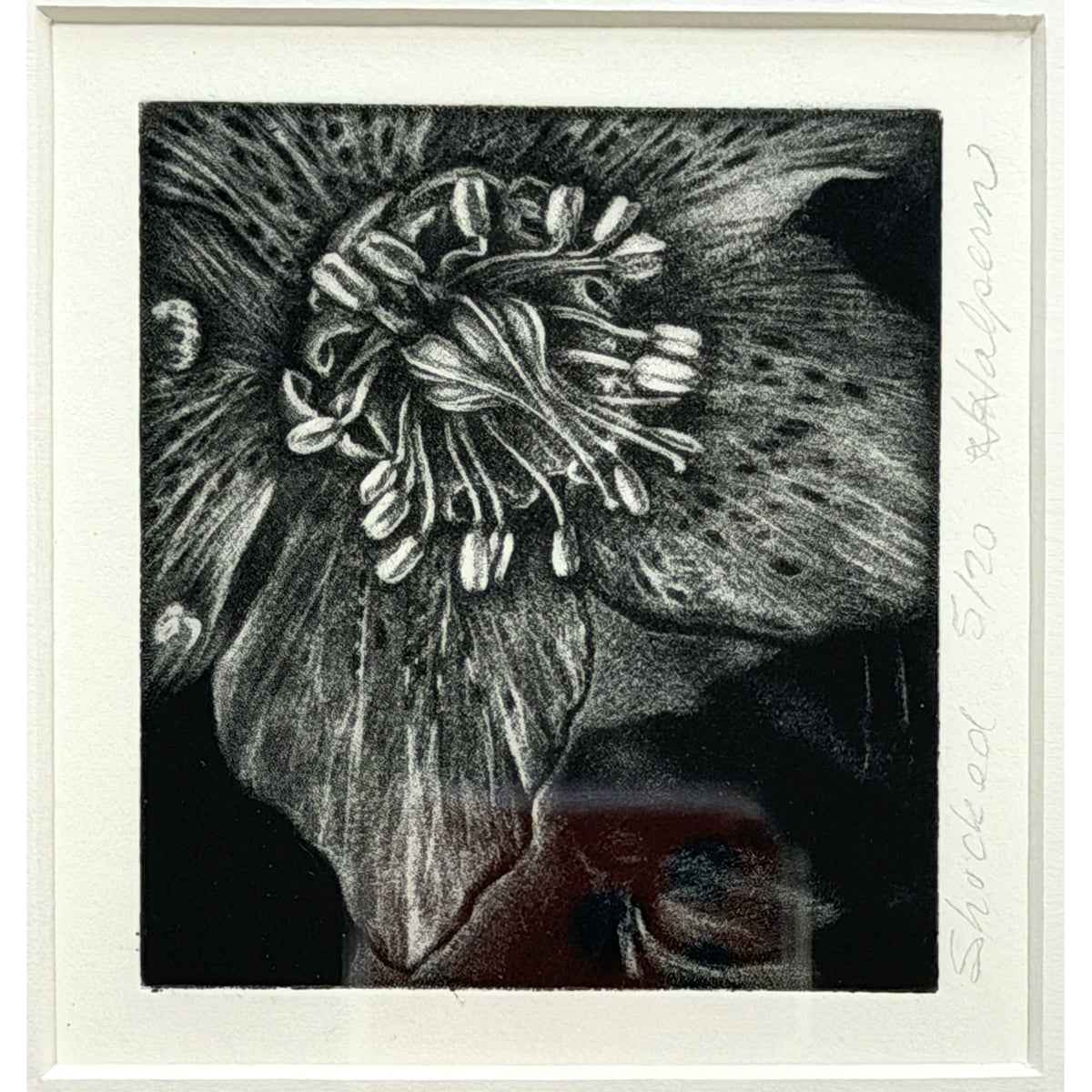 2. Shocked (Framed)