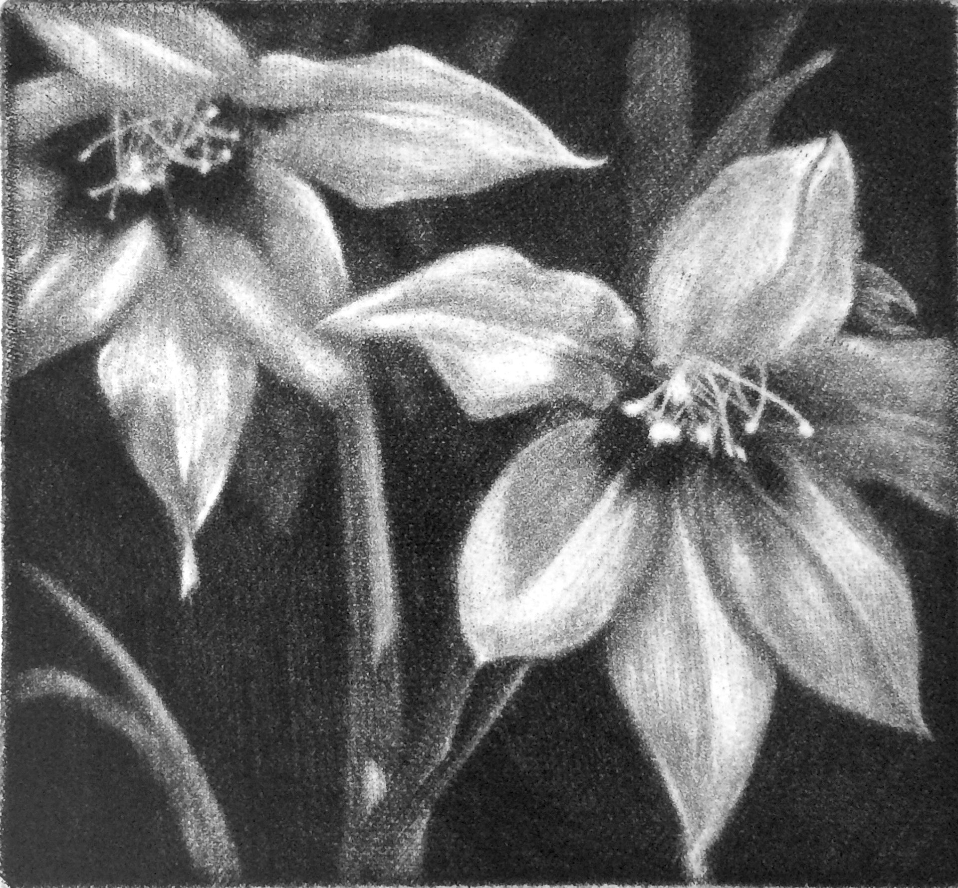 3. Insistent (4/20) (Framed)