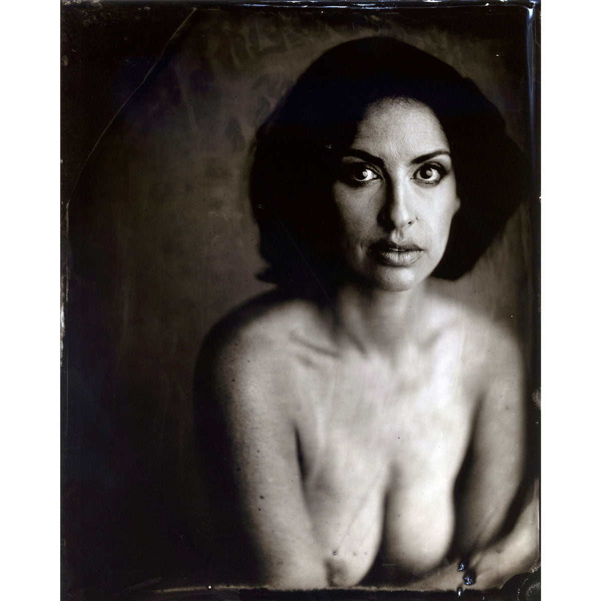 41. Robin | Tintype