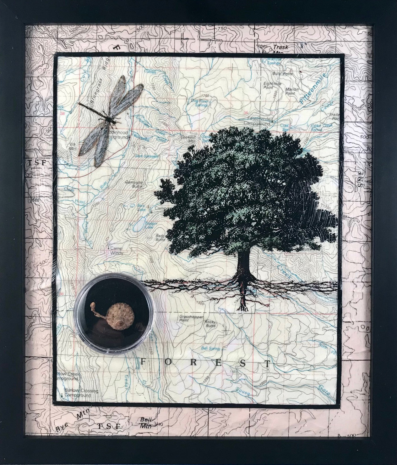 42. Forest Sanctuary