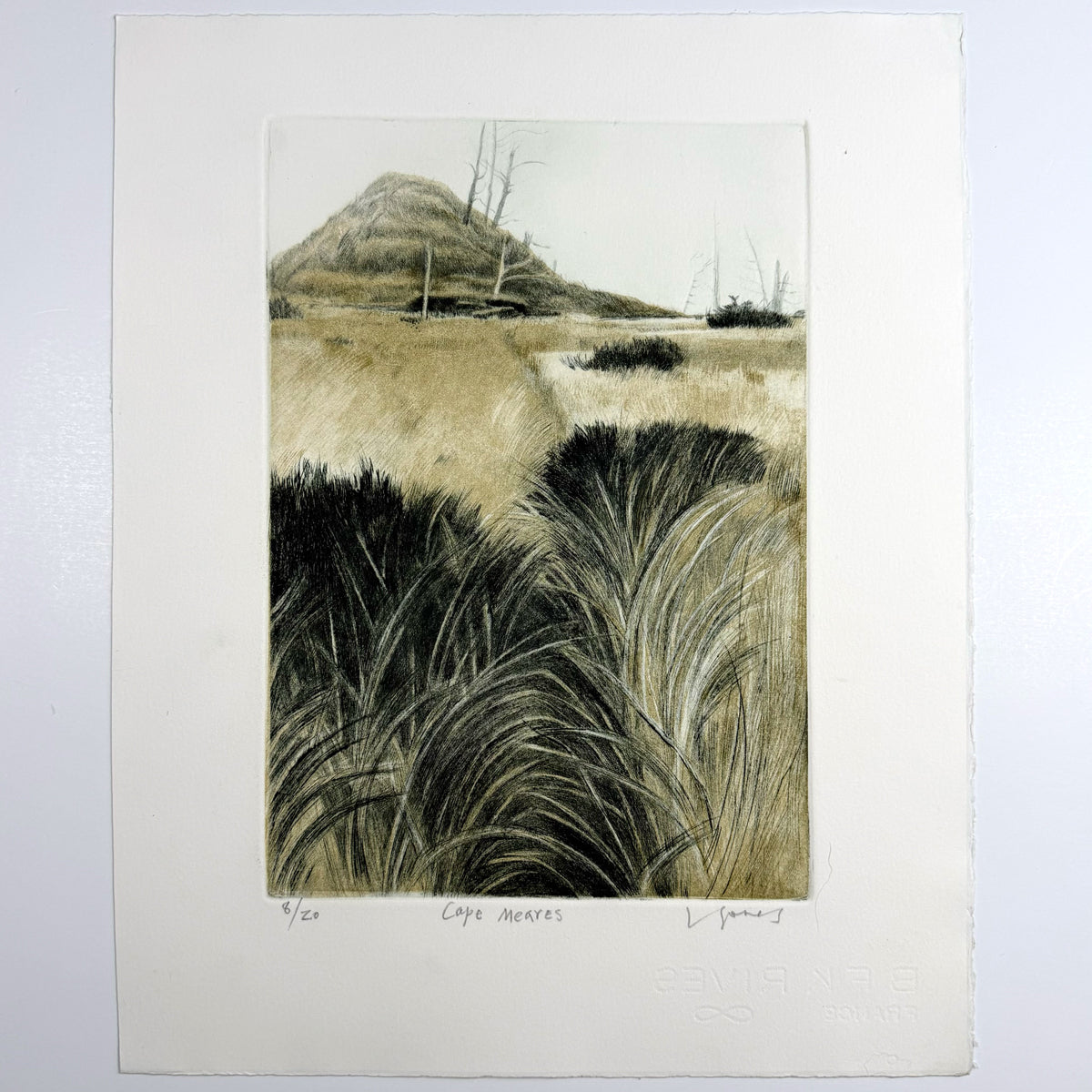 52. Cape Meares