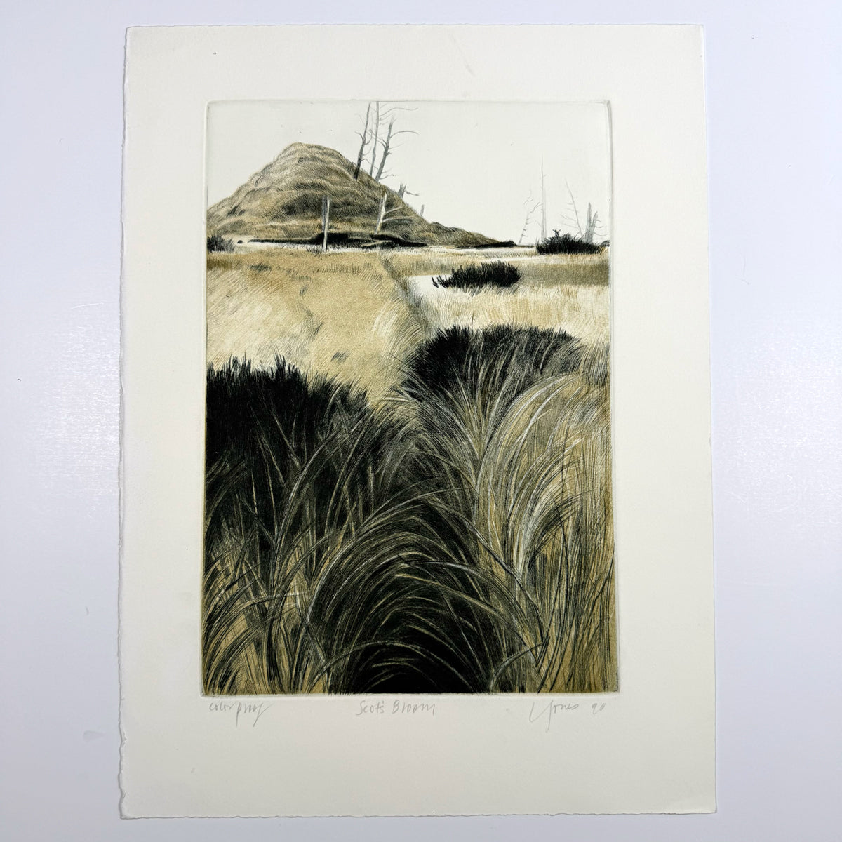 52. Cape Meares