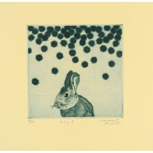 56. Why? (rabbit)