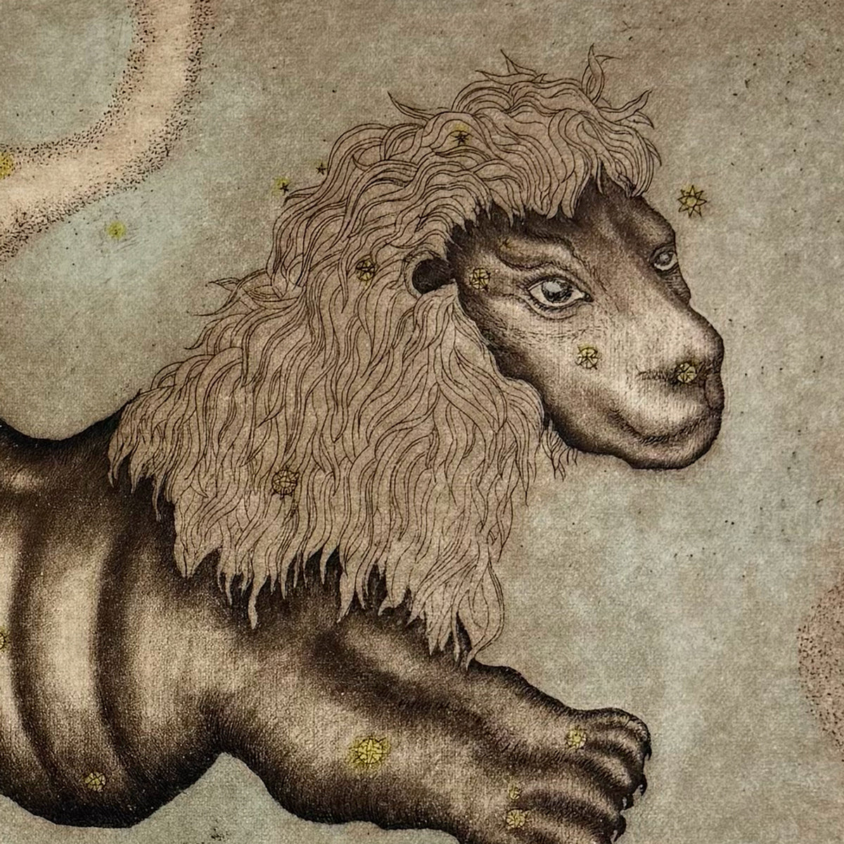 6. Leo