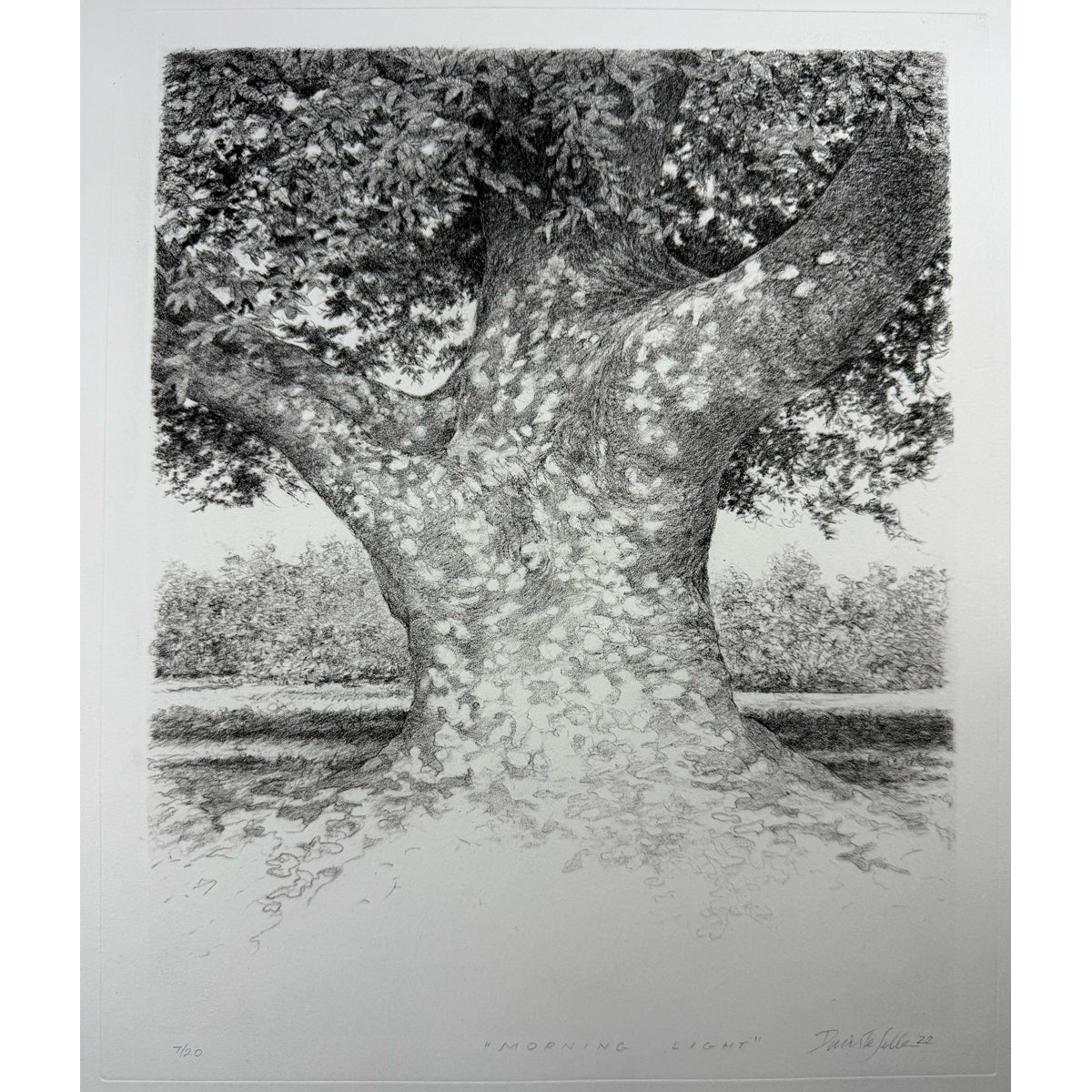 6. Morning Light