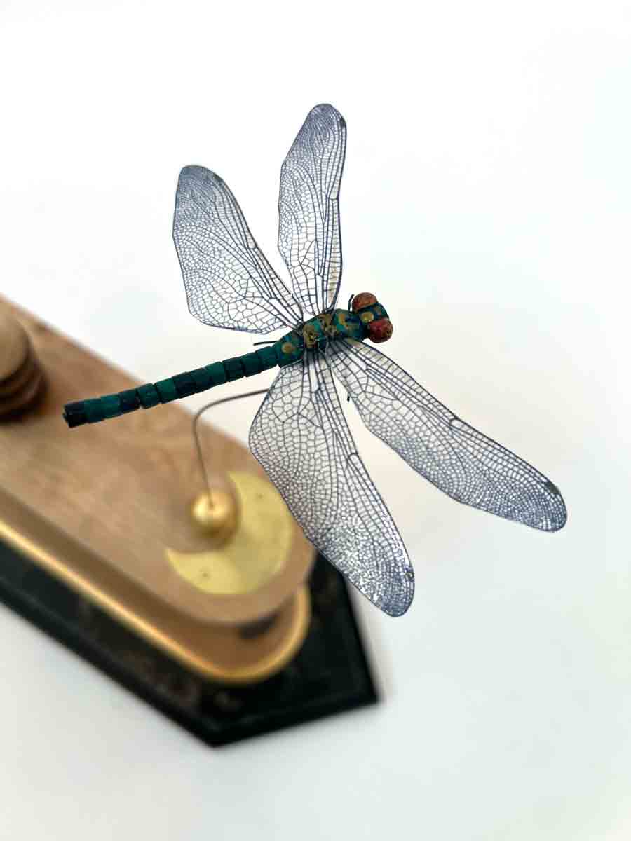 15. Endangered Species