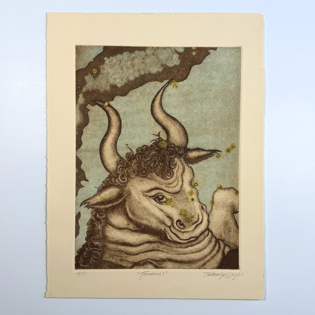 7. Taurus