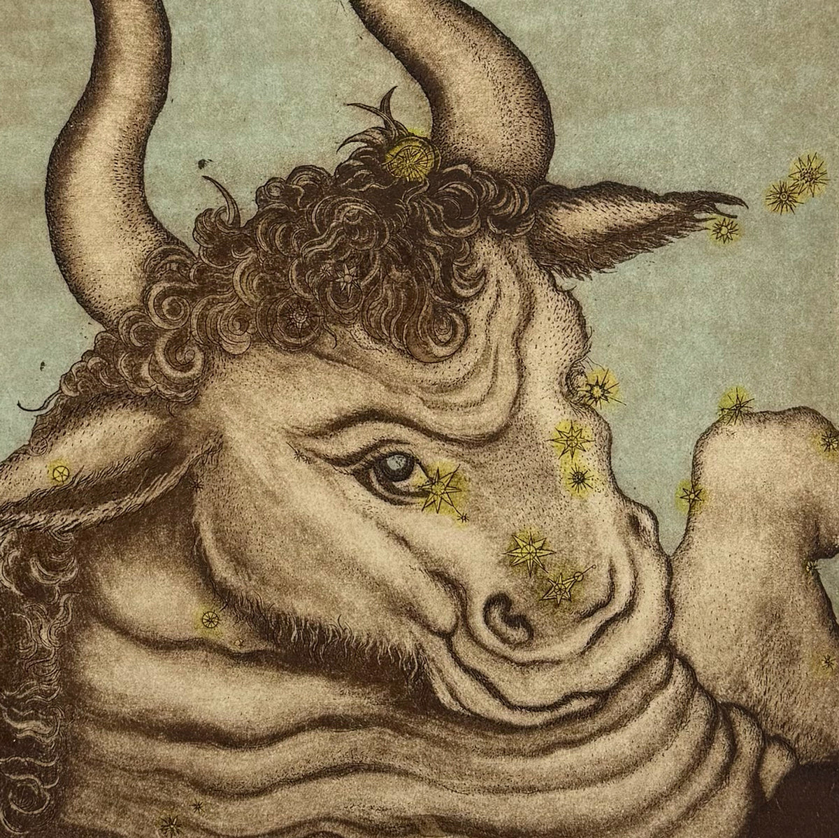 7. Taurus