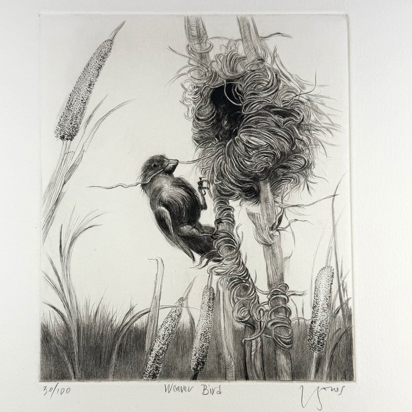 8. Weaver Bird
