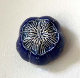 25-19  Blue Sea Urchin Pod