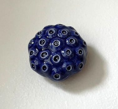 25-22  Blue Sea Eyes Pod