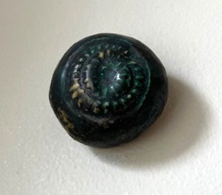 25-23  Green Spiral Fossil Pod
