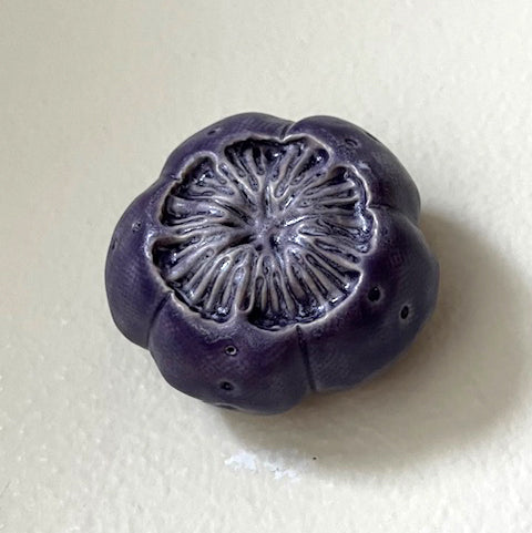 25-27  Purple Sea Urchin Pod