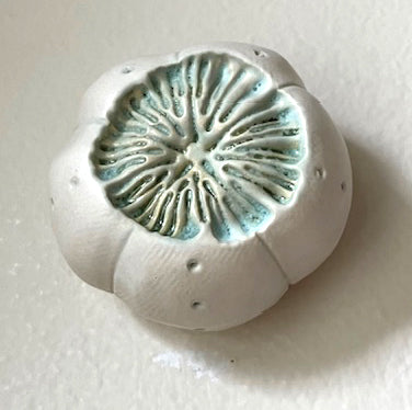 25-33 Pink and Green Sea Spore Pod