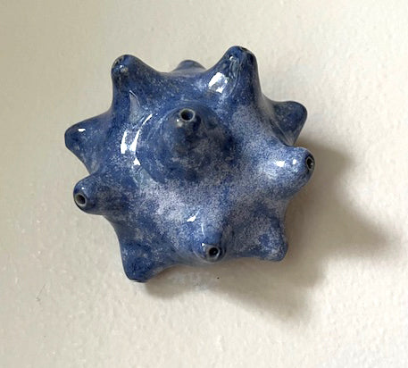 25-34  Blue Probing Sea Spine Pod