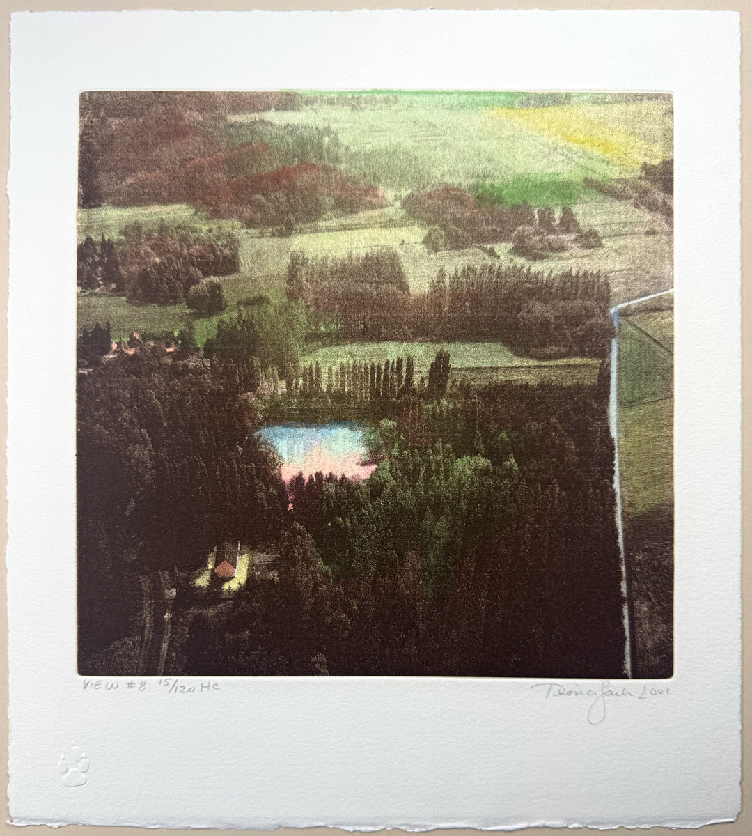 1. Diana Jacobs: Hand Colored Etching