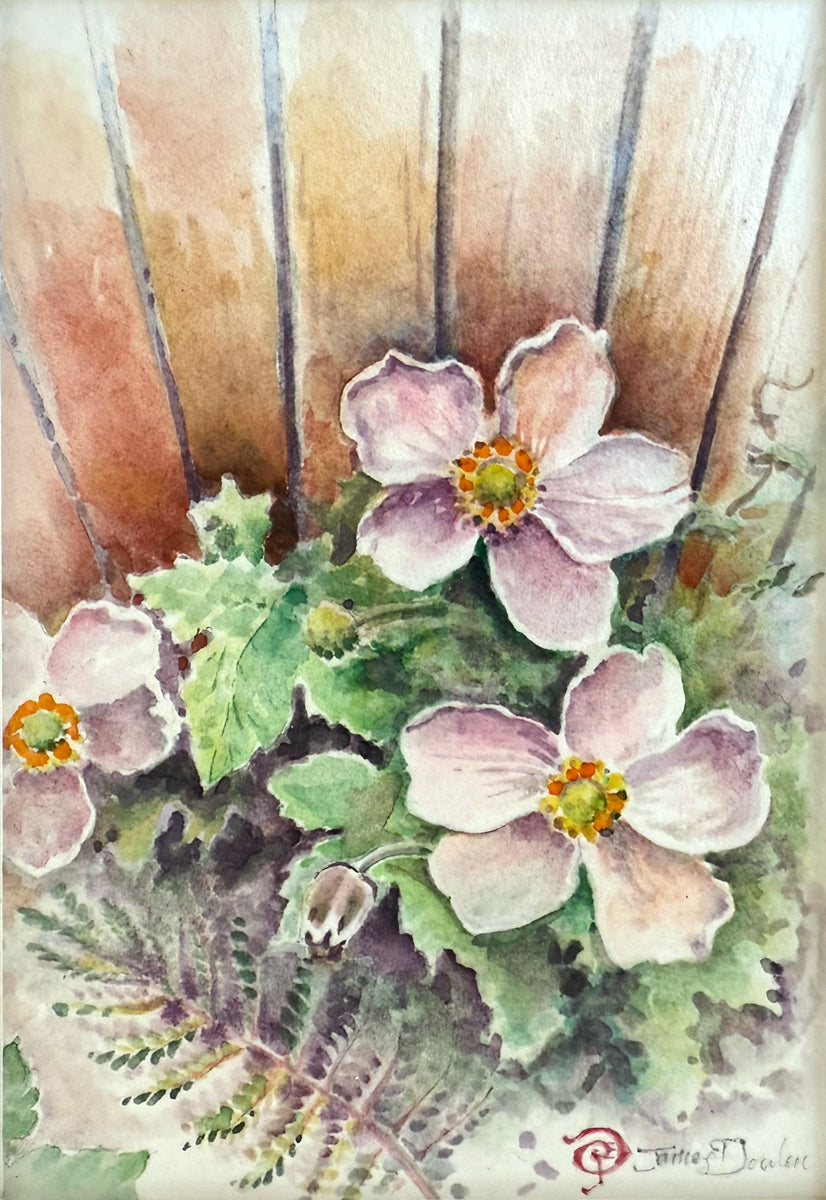 349. Anemone Blossoms