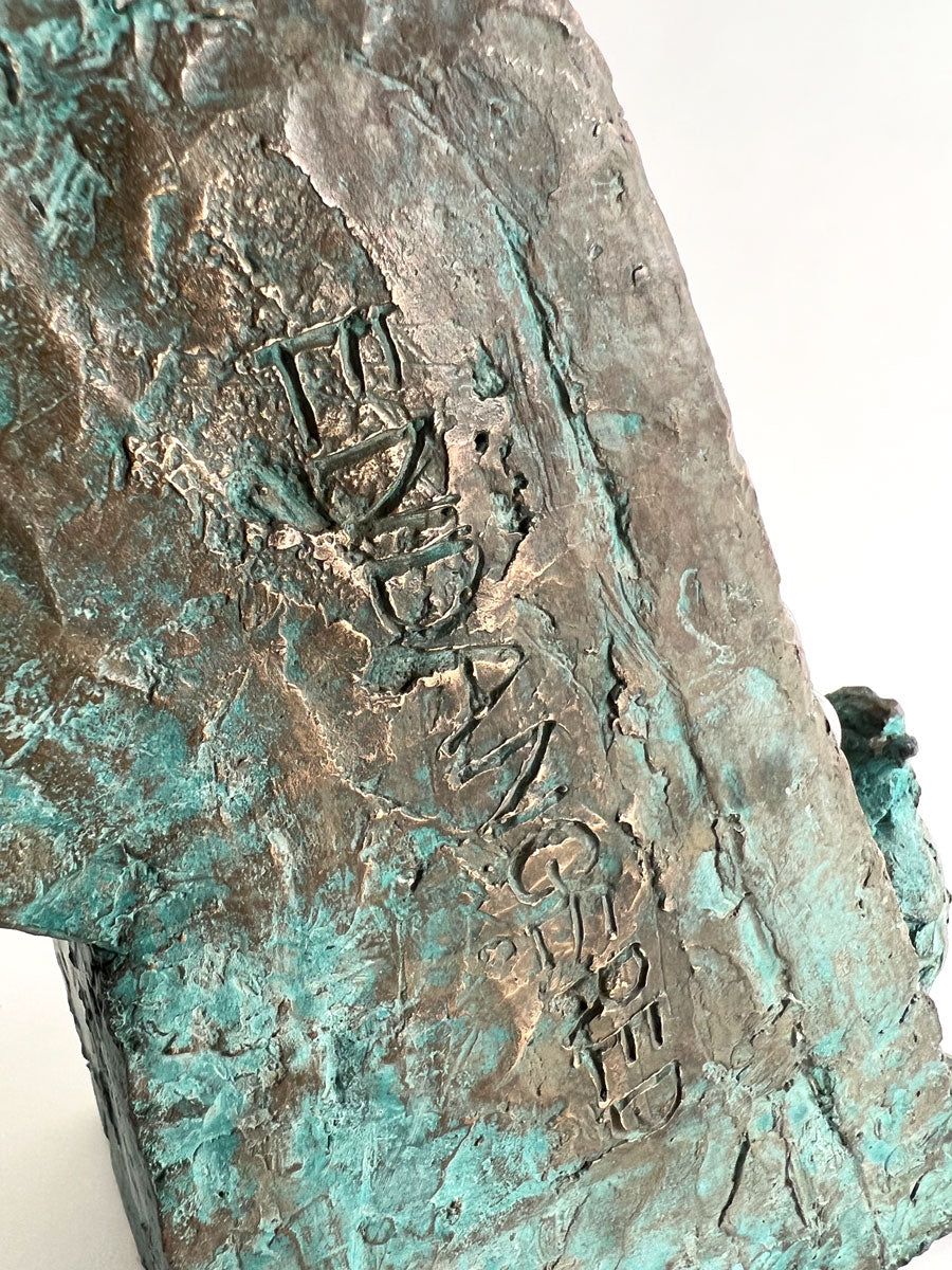 B058. Endangered Species: Gorilla, Leatherback Turtle & Seal