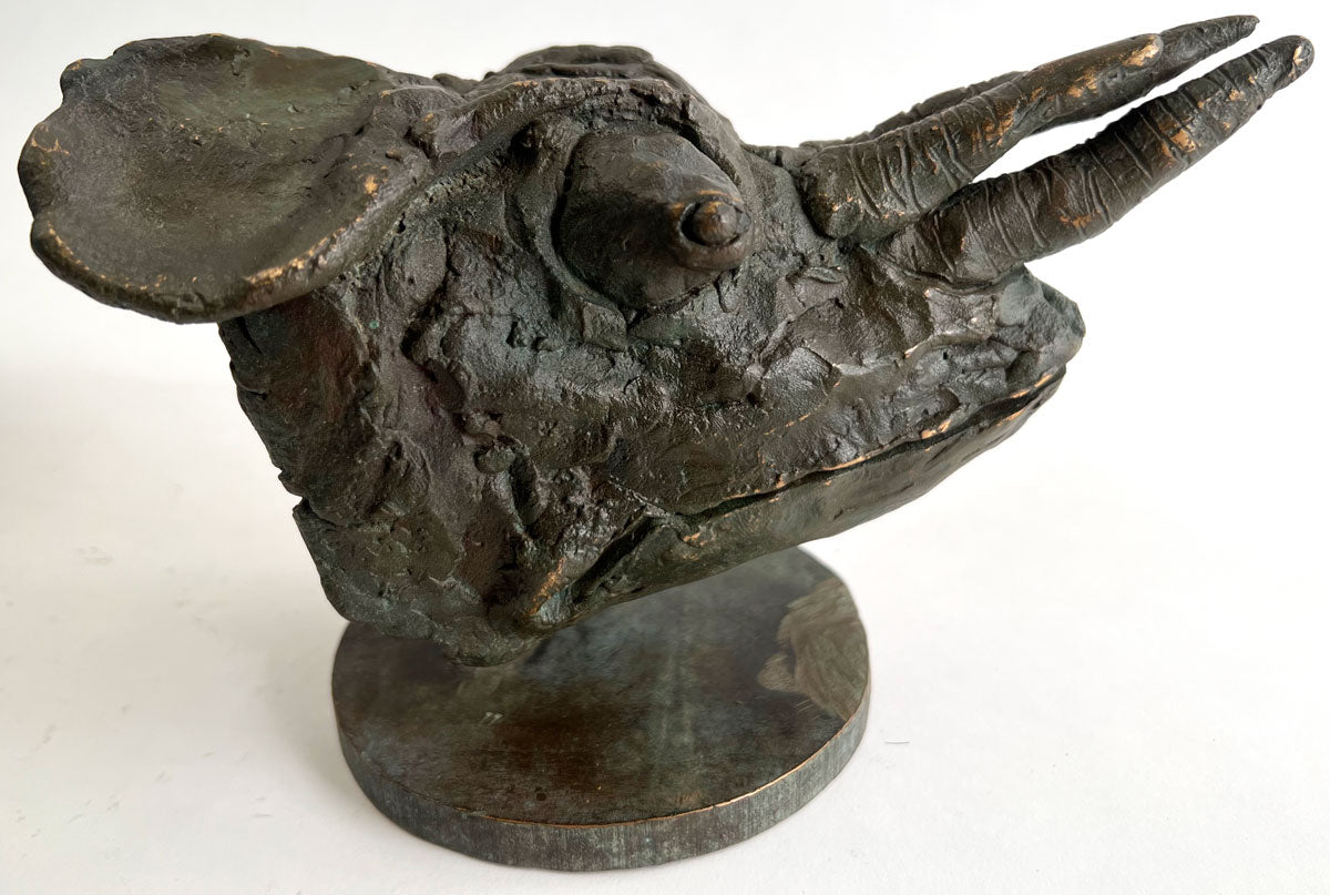 B064. Chameleon Head