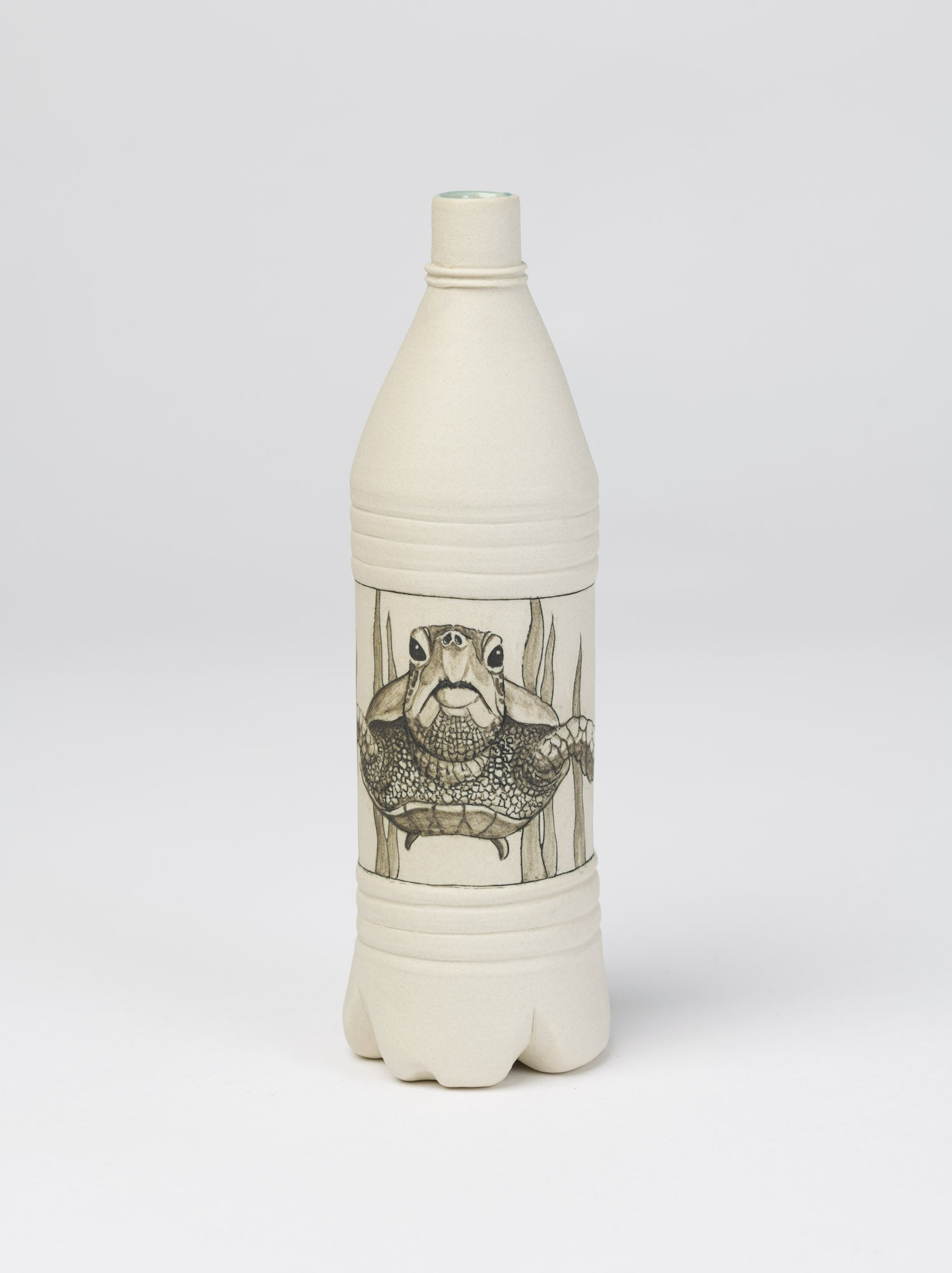 87. Hawks Bill Turtle