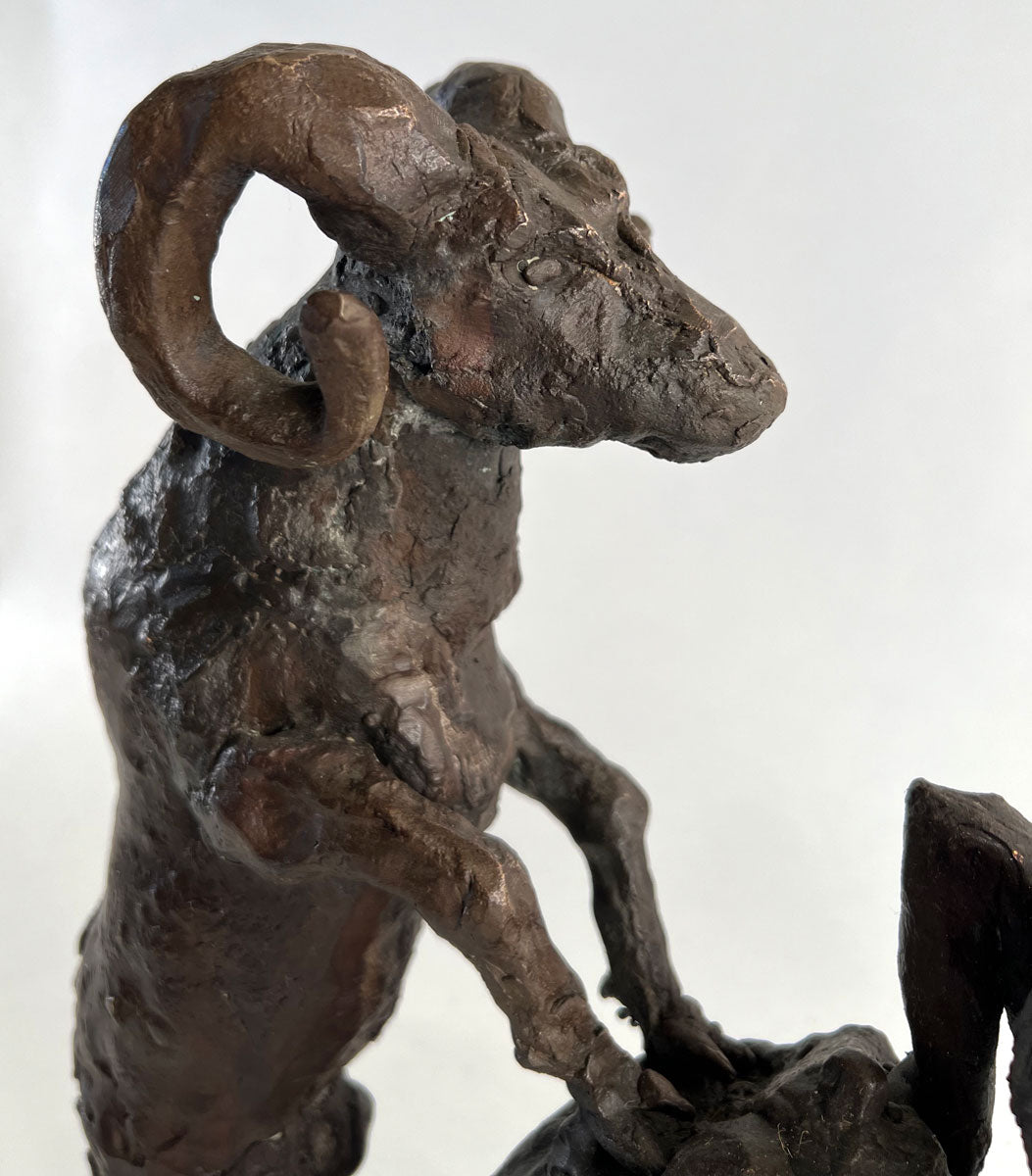 B012. Mountain Goats (in shop)