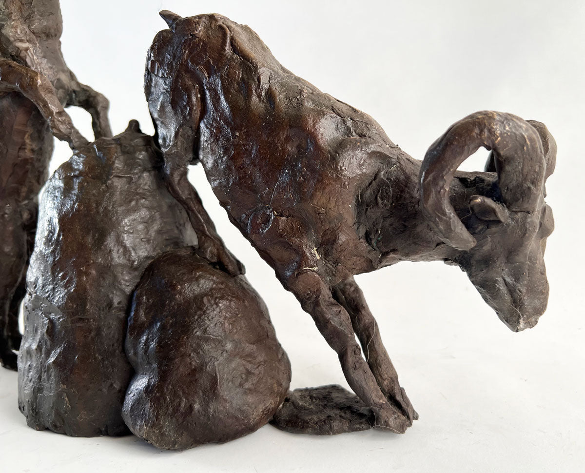 B012. Mountain Goats (in shop)