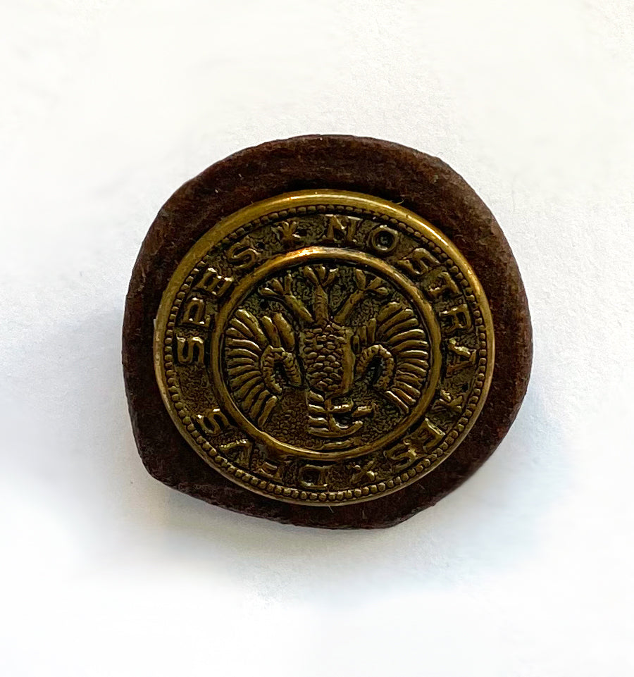 22. Pin: Bottle Cap & Button